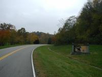 Fall colors