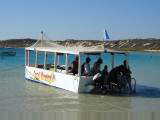 Glass Bottom boat