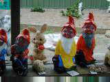 Gnomes