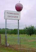 Orchards
