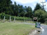Wine region