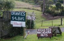 Oranges, nuts, tomatoes, corn, potatoes,...