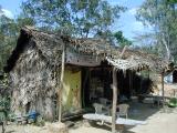 Hut