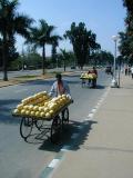 Street cart