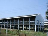 Chicken farm