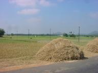 Drying hay