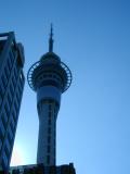 Sky tower from below
