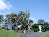 Honey shop and museum