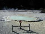 Oyster Pool in Waiotapu