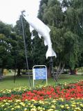 Taupo, trout fishing city