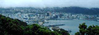 Wellington from Mount Victoria