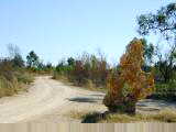Side road with interesting rock