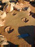 Dinosaur prints