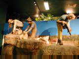 Riversleigh museum diarama