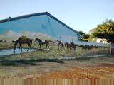 Camooweal mural
