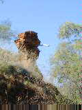 Churchill Head rock