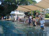 Fish feeding at Aquascene