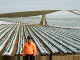 John with field of strawberries