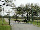 Ranch entrance