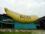 The Big Banana in Coffs Harbour