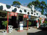 Moo moo cafe