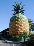 The Big Pineapple