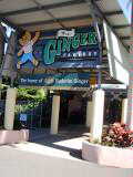 Ginger factory