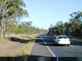 Bruce Highway through forest