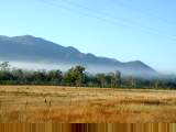 Queensland scene with mist