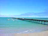 Beachport pier