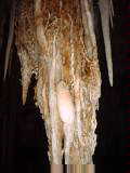 Tantanoola cave