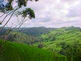 Hilly terrain