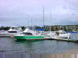 St Helens harbor
