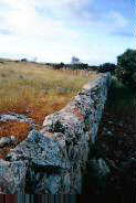 Stone walls