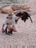 Birds of prey demonstration