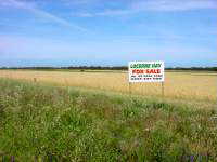 Fields of hay and wheat