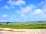Lake Albert