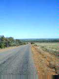 Country landscapes