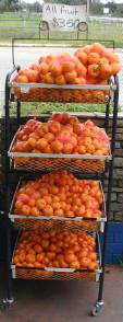 Local mandarins