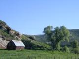 Along the Yampa River