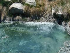 Steamboat Spring
