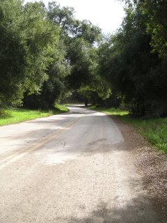 country roads
