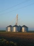 Grain bins in early morning